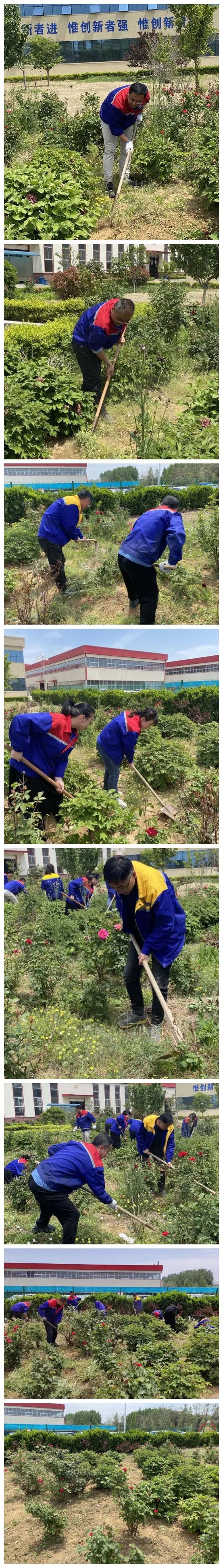 青島銳智黨支部開展“清除雜草 美化環(huán)境”主題黨日活動 青島銳智黨支部開展“清除雜草 美化環(huán)境”主題黨日活動